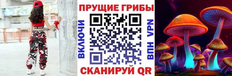 где продают Миллерово Галлюциногенные грибы Cubensis